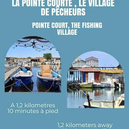 Le Duo Sètois Appartement *